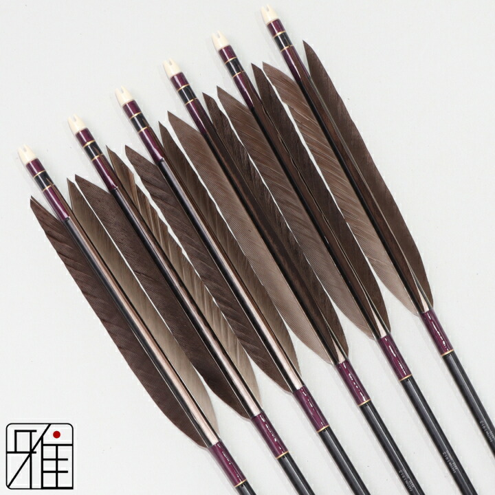 楽天市場】弓道 矢 ジュラルミン矢 6本組黒羽根 手羽 1913黒シャフト矧