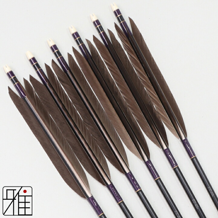 楽天市場】弓道 矢 ジュラルミン矢 6本組黒羽根 手羽 1913黒シャフト矧