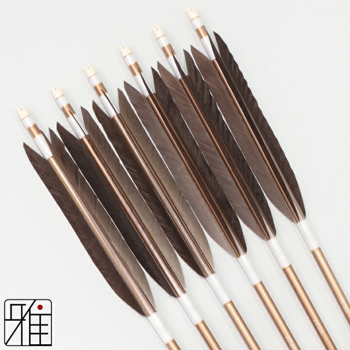 楽天市場】弓道 矢 ジュラルミン矢 6本組黒羽根 手羽 1913黒シャフト