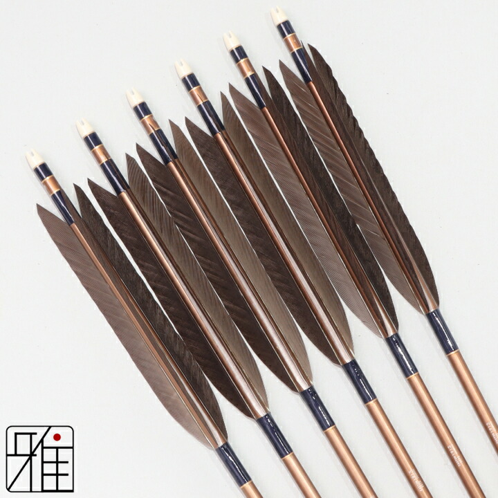 弓道 矢 ジュラルミン矢 6本組 黒羽根 手羽 1913茶シャフト 矧糸：青系 【送料無料】 翠山弓具店 suizan すいざんきゅうぐてん 【YA194032】