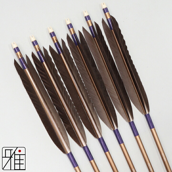 弓道 矢 ジュラルミン矢 6本組黒羽根 手羽 1913茶シャフト矧糸:紫系 【送料無料】翠山弓具店 suizanすいざんきゅうぐてん 【YA194050】|弓道専門店 翠山弓具店 suizan雅