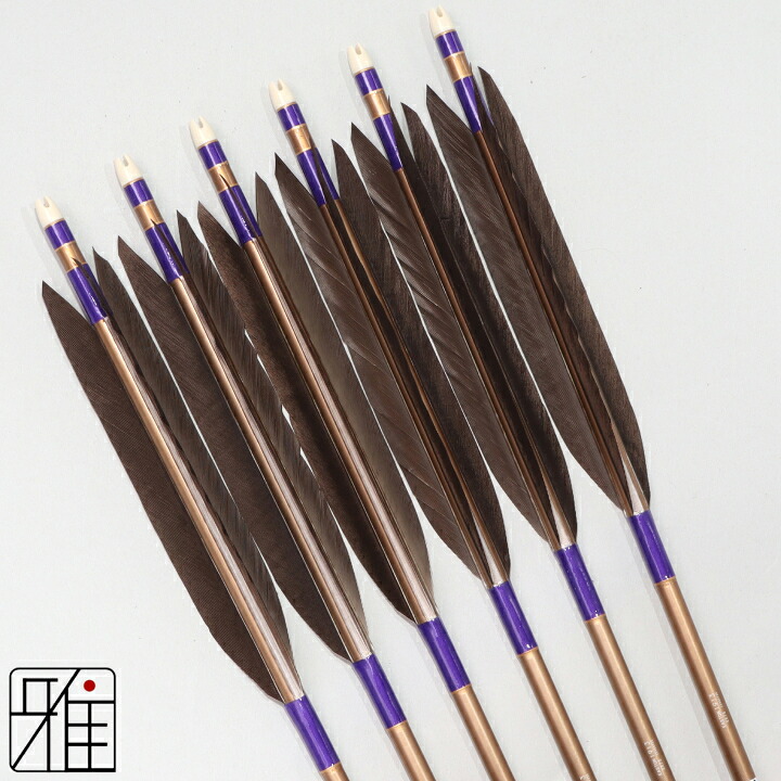 弓道 矢 ジュラルミン矢 6本組黒羽根 手羽 1913茶シャフト矧糸:紫系 【送料無料】翠山弓具店 suizanすいざんきゅうぐてん 【YA194054】|弓道専門店 翠山弓具店 suizan雅