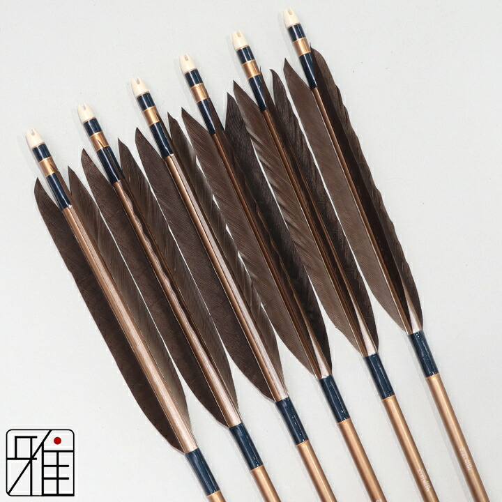 弓道 矢 ジュラルミン矢 6本組 黒羽根 手羽 1913茶シャフト 矧糸：青系 【送料無料】 翠山弓具店 suizan すいざんきゅうぐてん 【YA194055】