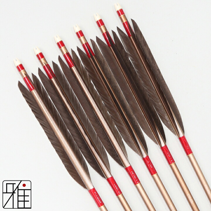 弓道 矢 ジュラルミン矢 6本組 黒羽根 手羽 2015シャフト茶 矧糸：赤系 【送料無料】 翠山弓具店 suizan すいざんきゅうぐてん 【YA201010】