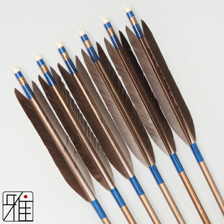 弓道 矢 ジュラルミン矢 6本組 黒羽根 手羽 2015シャフト茶 矧糸:青系 【送料無料】 翠山弓具店 suizan すいざんきゅうぐてん 【YA201014】