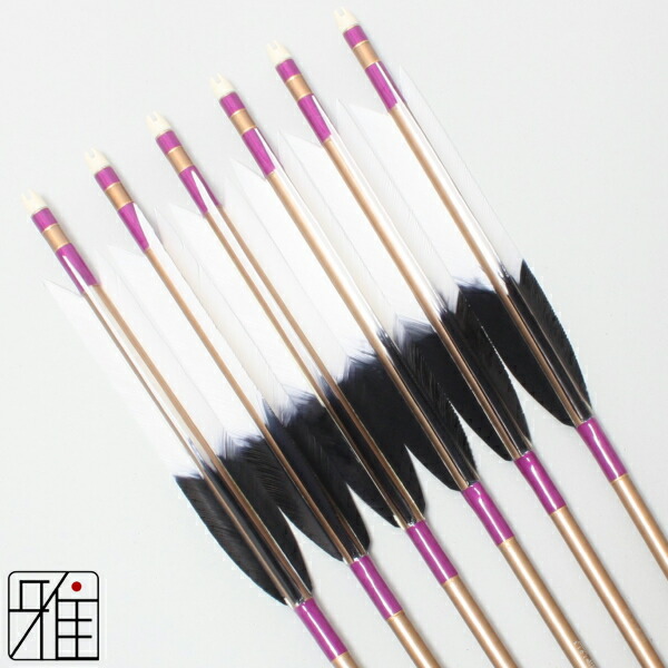 楽天市場】弓道 矢 ジュラルミン矢 6本組ターキー元黒染羽 1913