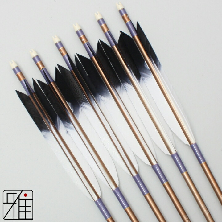 楽天市場】弓道 矢 ジュラルミン矢 6本組ターキー先黒染羽 1913