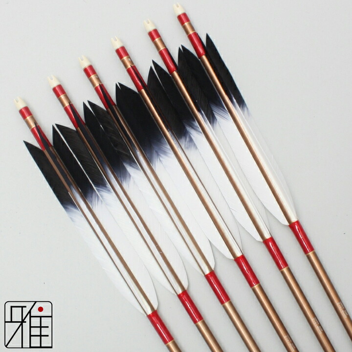 楽天市場】弓道 矢 ジュラルミン矢 6本組ターキー先黒染羽 1913
