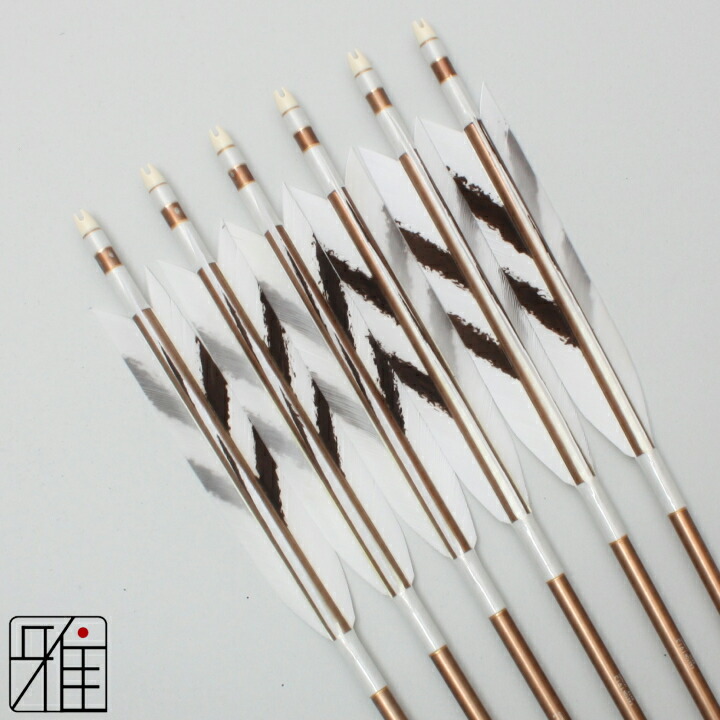 楽天市場】弓道 矢 ジュラルミン矢 6本組ターキー手描染羽 1913