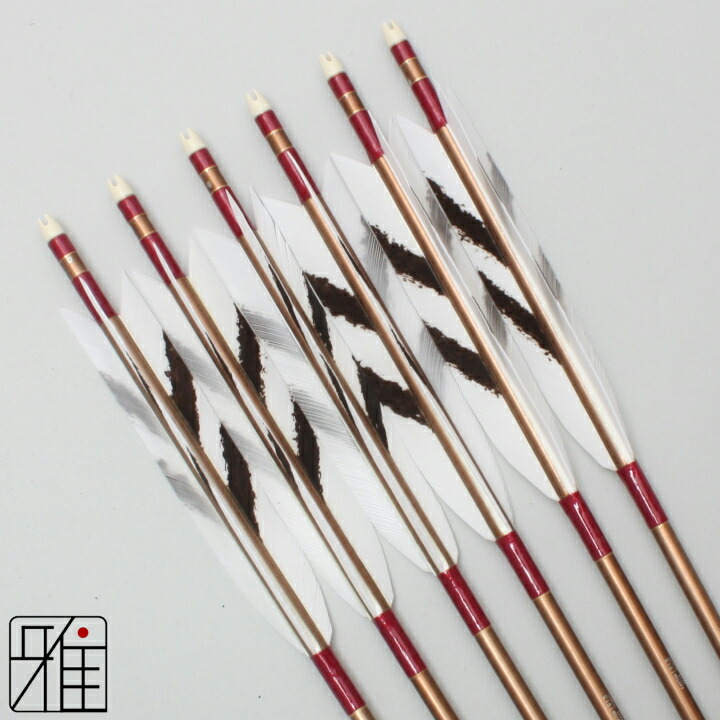 楽天市場】弓道 矢 ジュラルミン矢 6本組ターキー手描染羽 1913