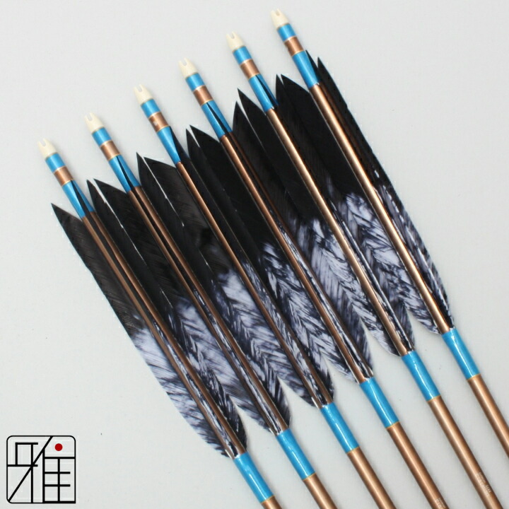 弓道　弓　矢 弓道 矢 ミズノ カーボン矢 黒尾羽 WENEW 84BC｜6本組｜翠山弓具