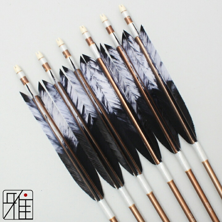 弓道 矢 ジュラルミン矢 6本組 ターキー差斑染羽 1913シャフト茶 矧糸：白系 【送料無料】 翠山弓具店 suizan すいざんきゅうぐてん 【YA19457】