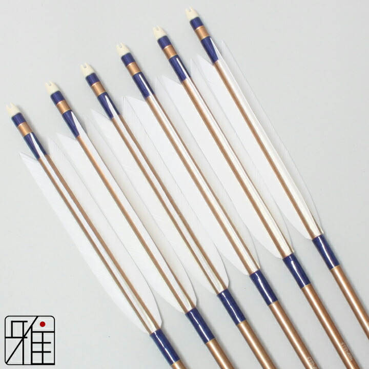 美品　弓道　矢、矢筒、巻藁矢　2014 ジュラルミン 美品 弓道 矢、矢筒、巻藁矢 2014 ジュラルミン