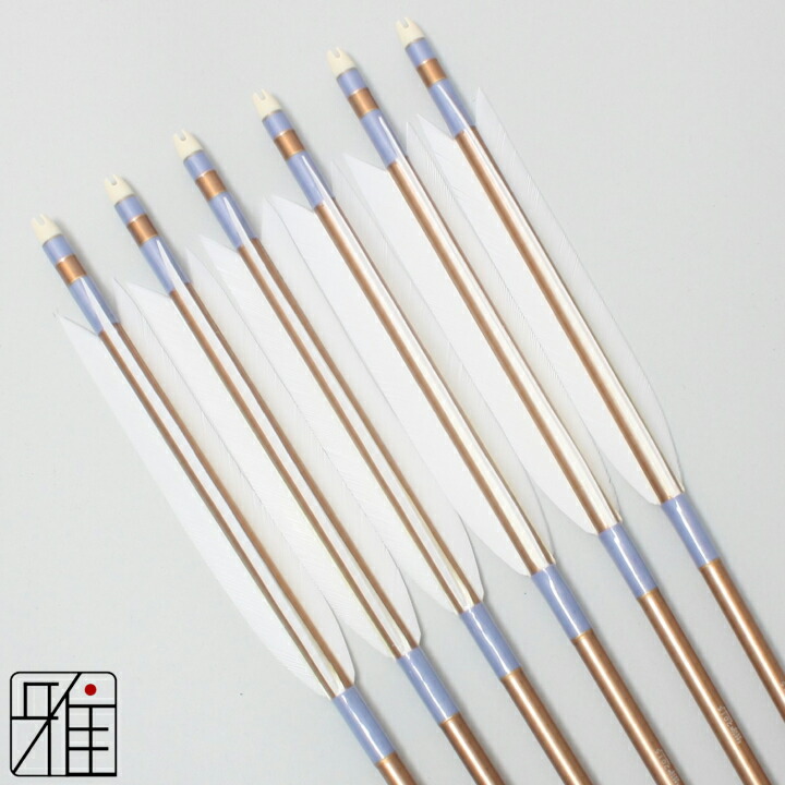 弓道 矢 楽天市場】弓道 矢 ジュラルミン矢 6本組ターキー手描染羽 1913