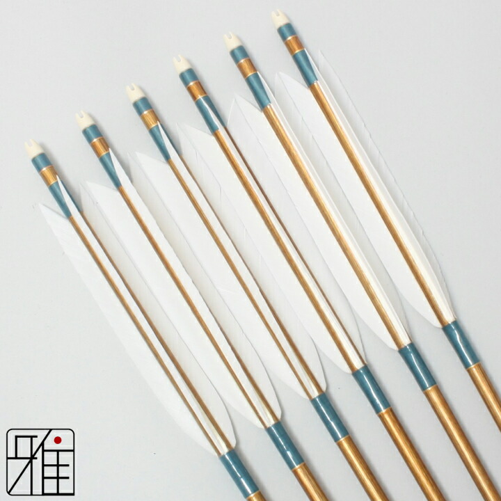 223811-20341.jpg