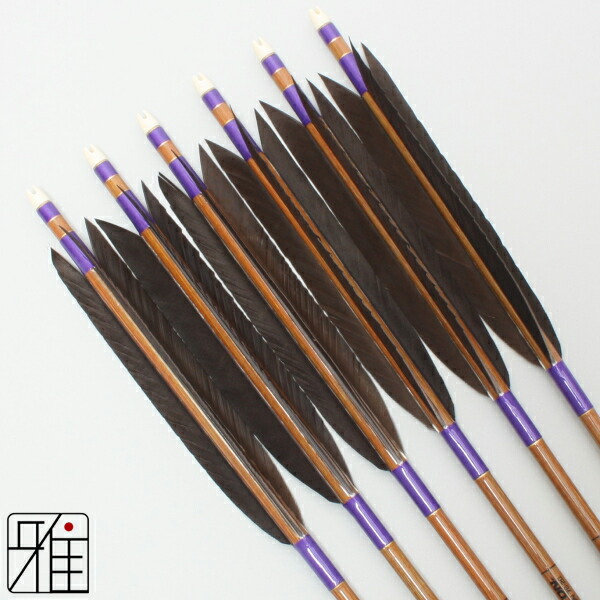 楽天市場】弓道 矢 イーストン カーボン矢 6本組黒手羽 8023シャフト矧