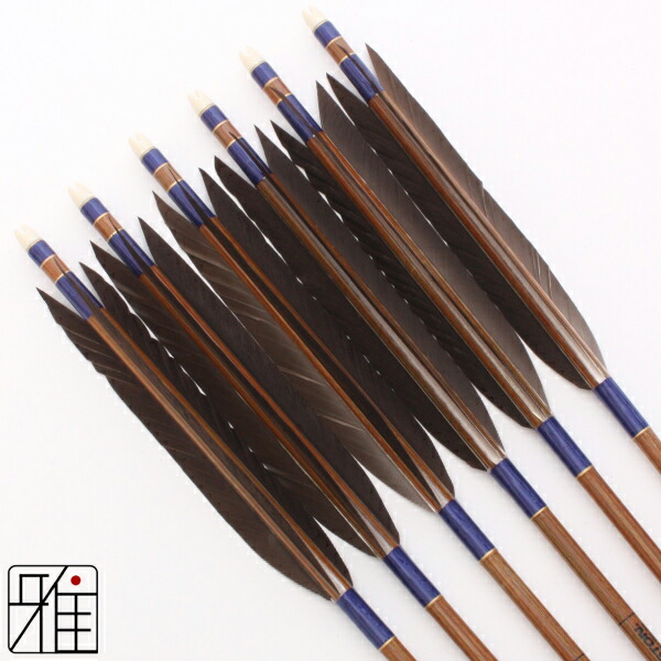 楽天市場】弓道 矢 イーストン カーボン矢 6本組黒手羽 8023シャフト矧