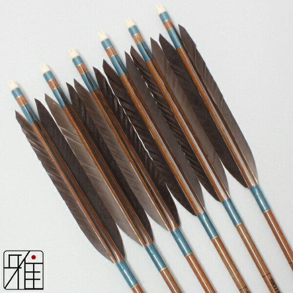 楽天市場】弓道 矢 イーストン カーボン矢 6本組黒手羽 8023シャフト矧