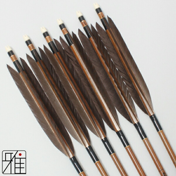 楽天市場】弓道 矢 イーストン カーボン矢 6本組黒手羽 8023シャフト矧