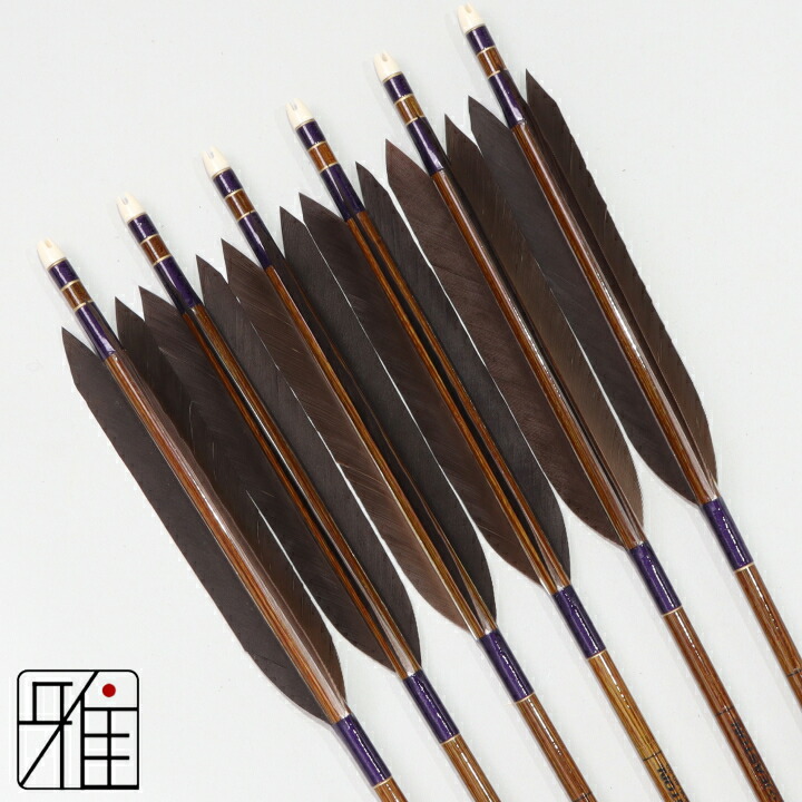 楽天市場】弓道 矢 イーストン カーボン矢 6本組黒手羽 8023シャフト矧