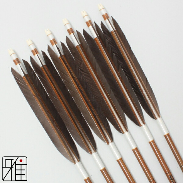 楽天市場】弓道 矢 イーストン カーボン矢 6本組黒手羽 8023シャフト矧