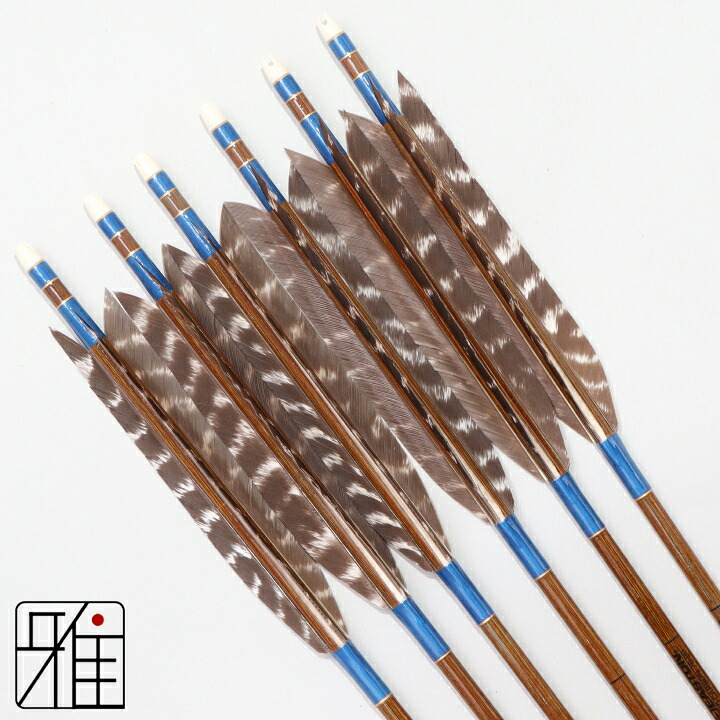 弓道 矢 イーストン カーボン矢 6本組 ターキー天然トラ斑羽 7620シャフト 矧糸：青系 【送料無料】 翠山弓具店 suizan すいざんきゅうぐてん 【YA768113】