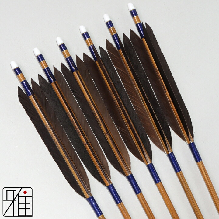 弓道 矢 ミズノ カーボン矢 6本組 黒手羽 WENEW 76BCシャフト 矧糸：青系 【送料無料】 翠山弓具店 suizan すいざんきゅうぐてん 【YA769305】