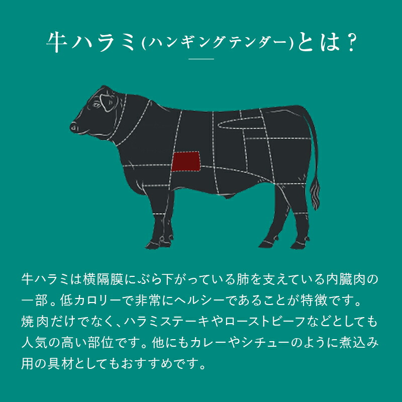 送料無料 冷凍牛ハラミ 約5 6kg前後 4 6パック 購入 筋引き ハンギングテンダー サガリ ハラミ さがり ハラミステーキ グレインフェッドビーフ 穀物肥育 贈り物 牛肉 焼肉 タンパク質 赤身肉 お祝い Steak 業務用 q お取り寄せグルメ ステーキ