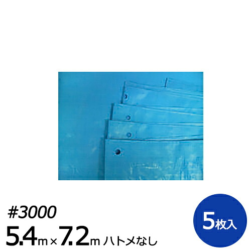 【尖んがり20倍】青み居敷き #3000 5.4m×7.2m ハトメ絶無 5枚入り口・入口