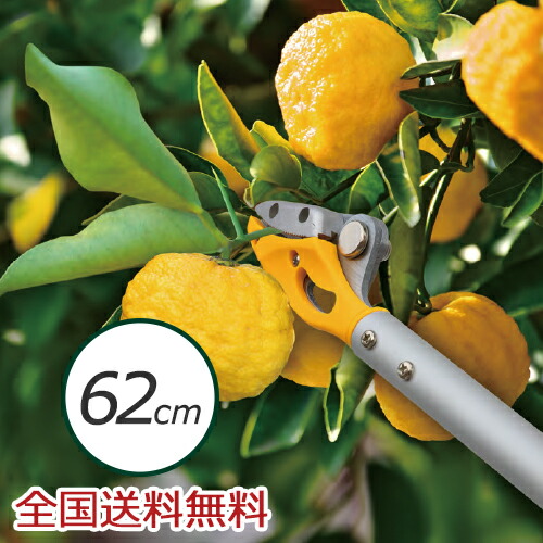 【ポイント10倍】スマートカット62cm 園芸ばさみ ガーデニング 園芸用品