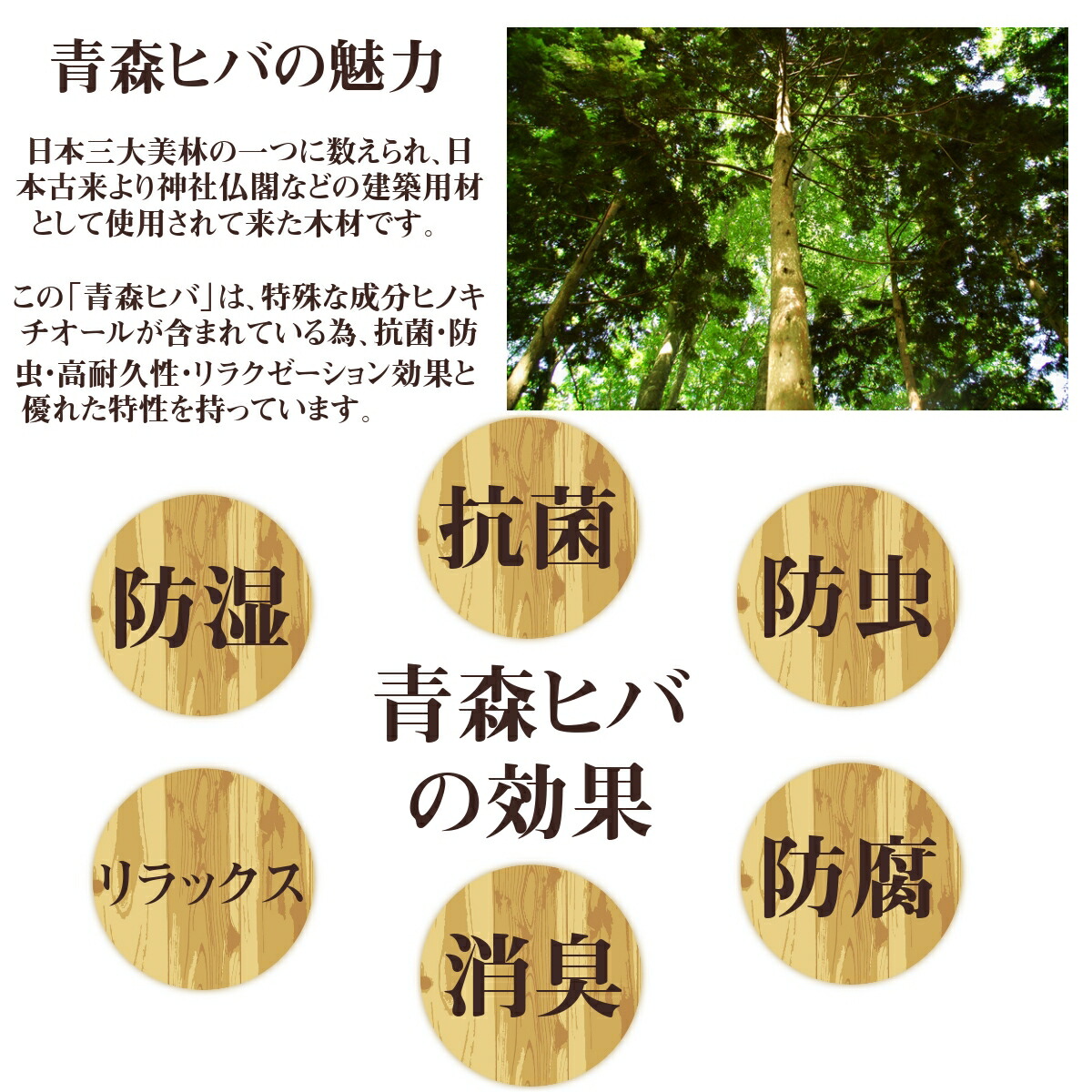 青森ヒバ 貨物輸送無料 工匠の手作り 灯し火小蔭 頂点 いんちきさ照度 ひのき 檜 防腐 殺虫剤 リラクゼーション 抗菌 お手て水仕女 Alkadhum Col Edu Iq