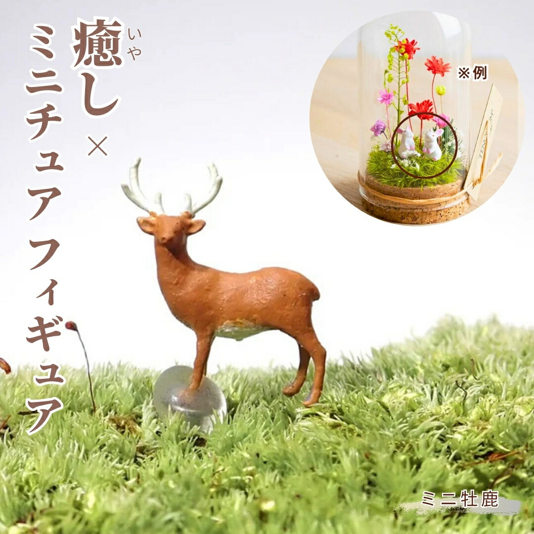 苔リウム㉖ ・ 古い神社をイメージしました🌿 ・ ・ ・ ・ #苔