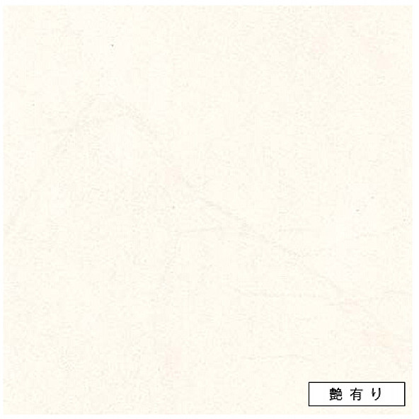 アイカ キッチンパネル FANA1759ZMN 艶有り 3x6 セラール 【関東地方一部のみ配送可】