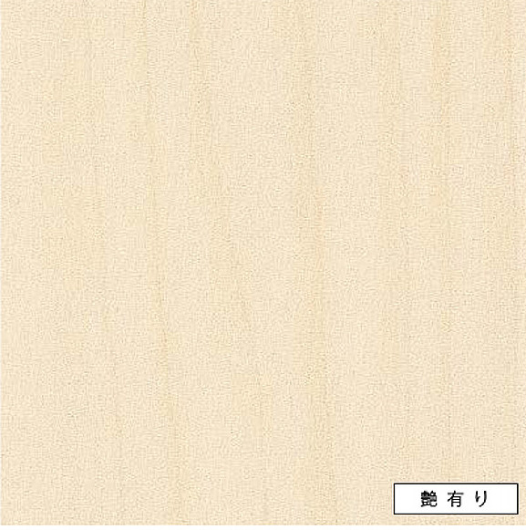 アイカ 勝手もとダイアログボックス FANA1923ZMN 艶有り 3x8 セラール 【関東ルーラル地域構成要素のみ送りとどける可】