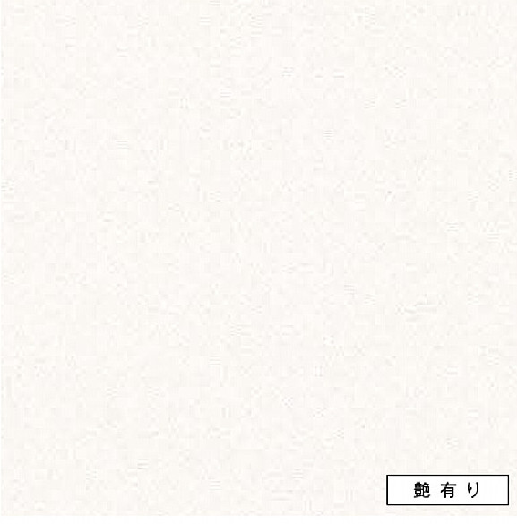 アイカ 勝手もとダイアログボックス FQNA6000ZMN 艶有り 3x8 セラール 【関東ルーラル地域構成要素のみ送りとどける可】