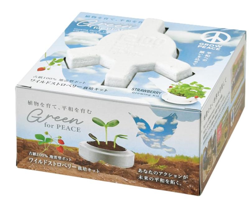 聖新陶芸 グリーンフォーピース 栽培キット ワイルドストロベリー サイズ：約W12.3 D12.3 H7 GD-103603画像