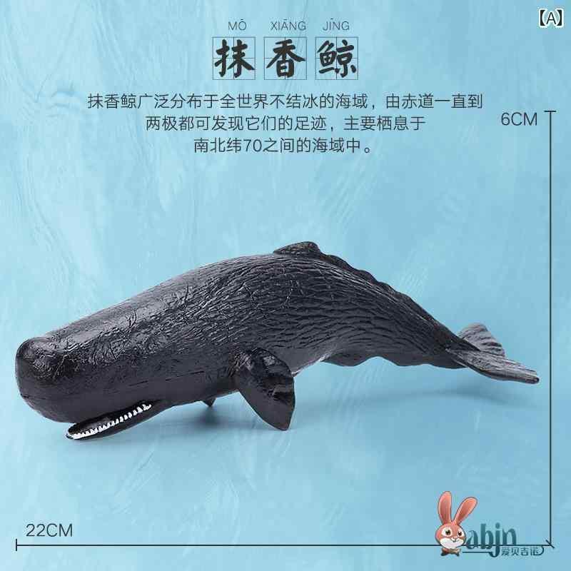 楽天市場】マッコウクジラ ソフトモデルフィギュア 海洋生物