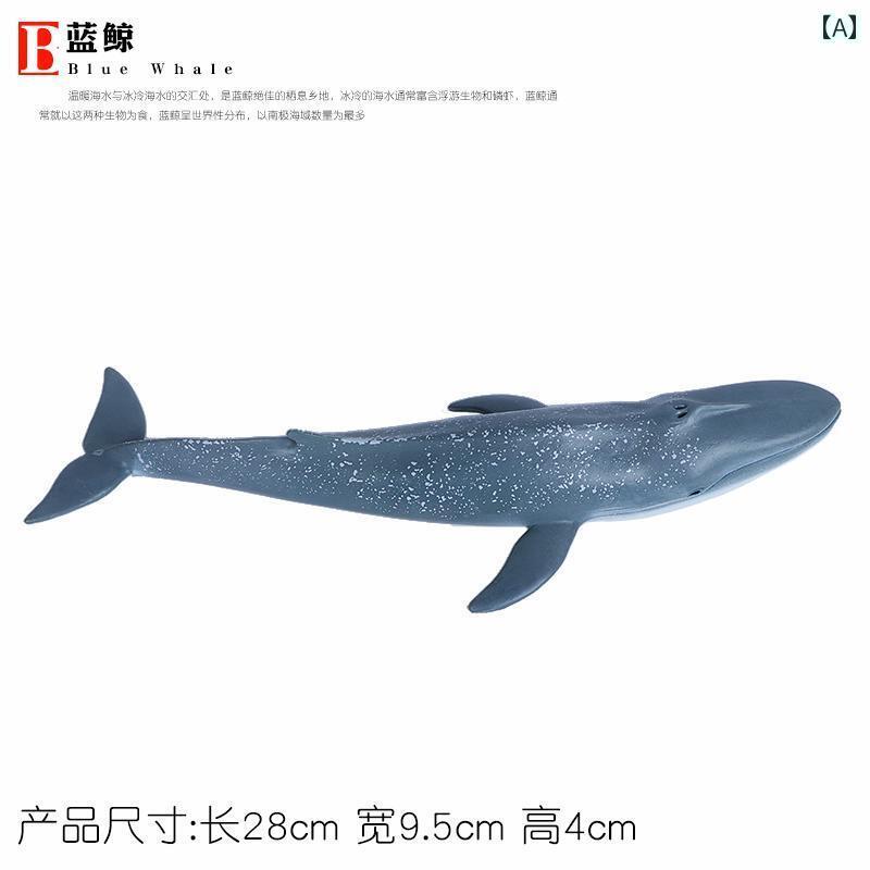 楽天市場】マッコウクジラ ソフトモデルフィギュア 海洋生物