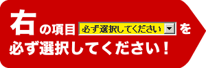 →を必ず選択して下さい。