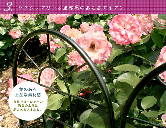 クラシック音楽駒寄せ ハイ型式2 4枚組 送料無料 フェンス 木戸 玄関 アイアン 園前栽フェンス ガーデニング 型枠 環堵 区画 屏障 限界 クラシカル アンティーク トレリス 露台 つる 薔薇 薔薇 朝顔 園芸 ラティス つるバラ 庭鼓吹 室外 Newbyresnursery Com