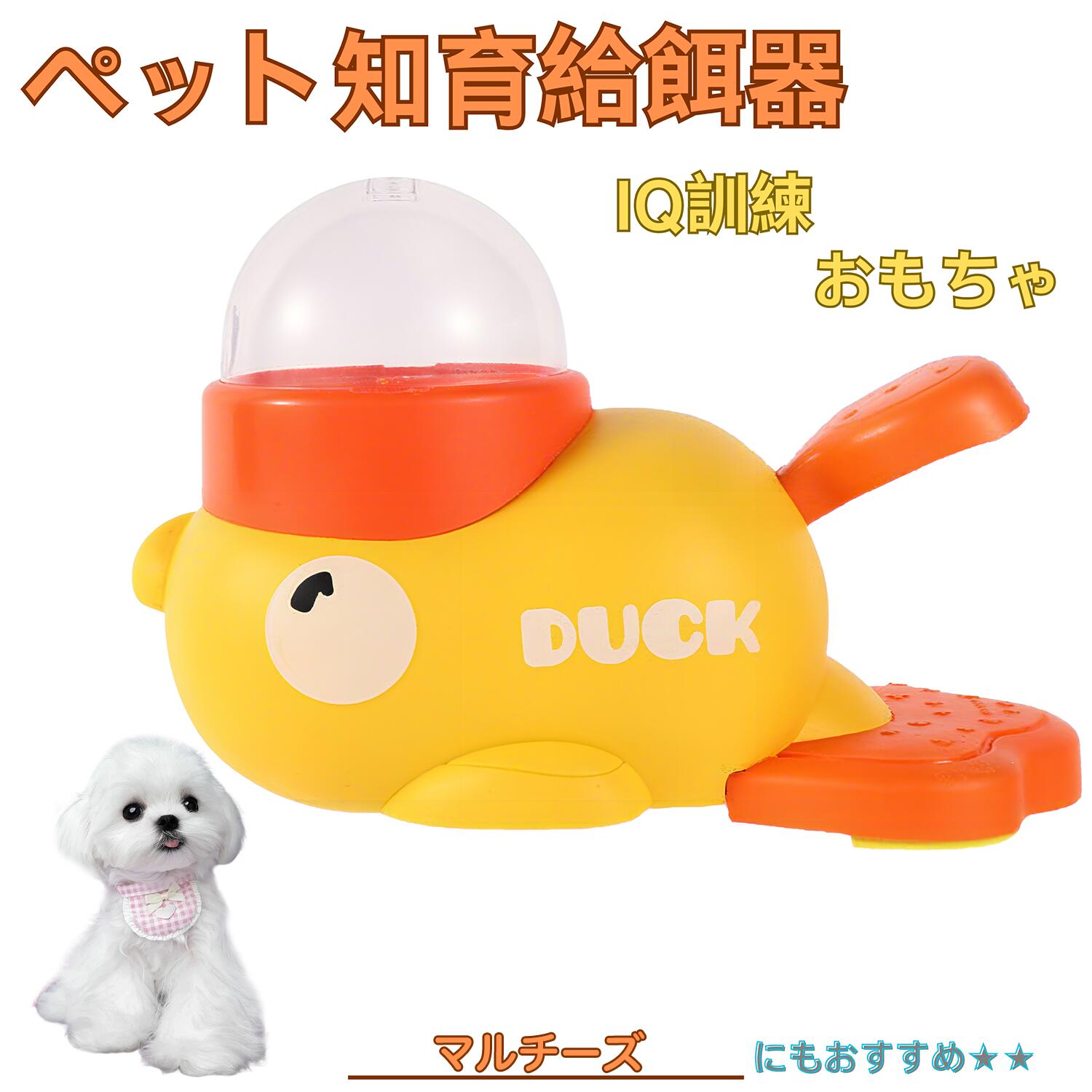 楽天市場】【5倍ポイント】 チャウチャウ（Chow Chow） アヒル 知育