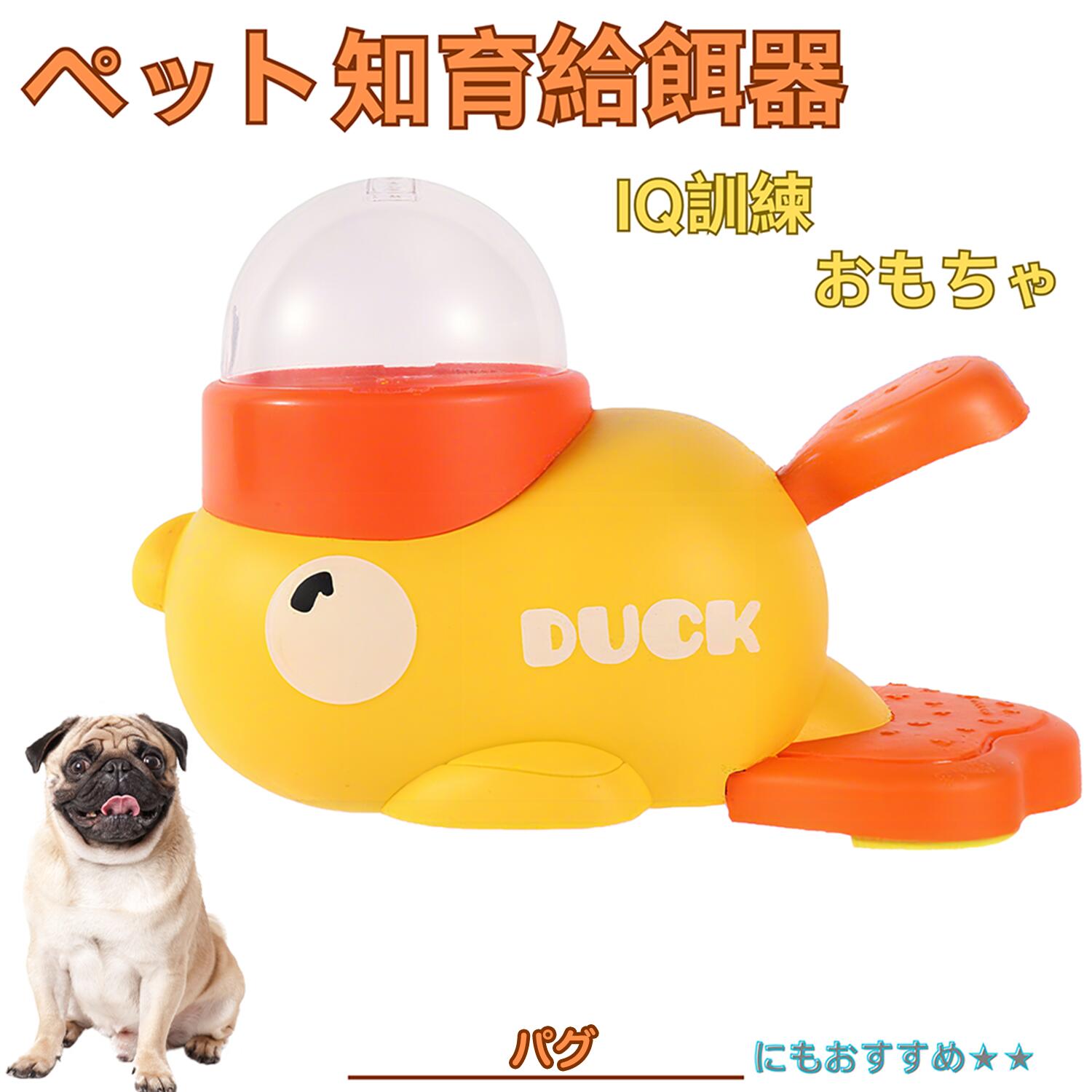 楽天市場】【5倍ポイント】 チャウチャウ（Chow Chow） アヒル 知育