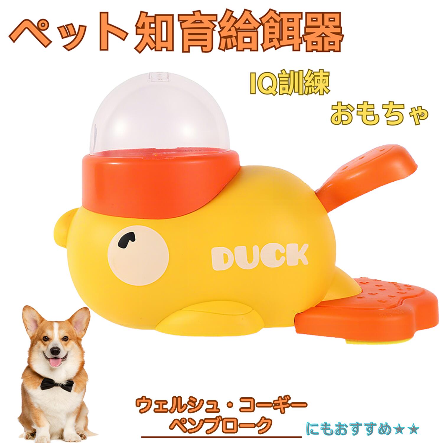 楽天市場】【5倍ポイント】 ダックスフンド（Kaninchen Dachshund