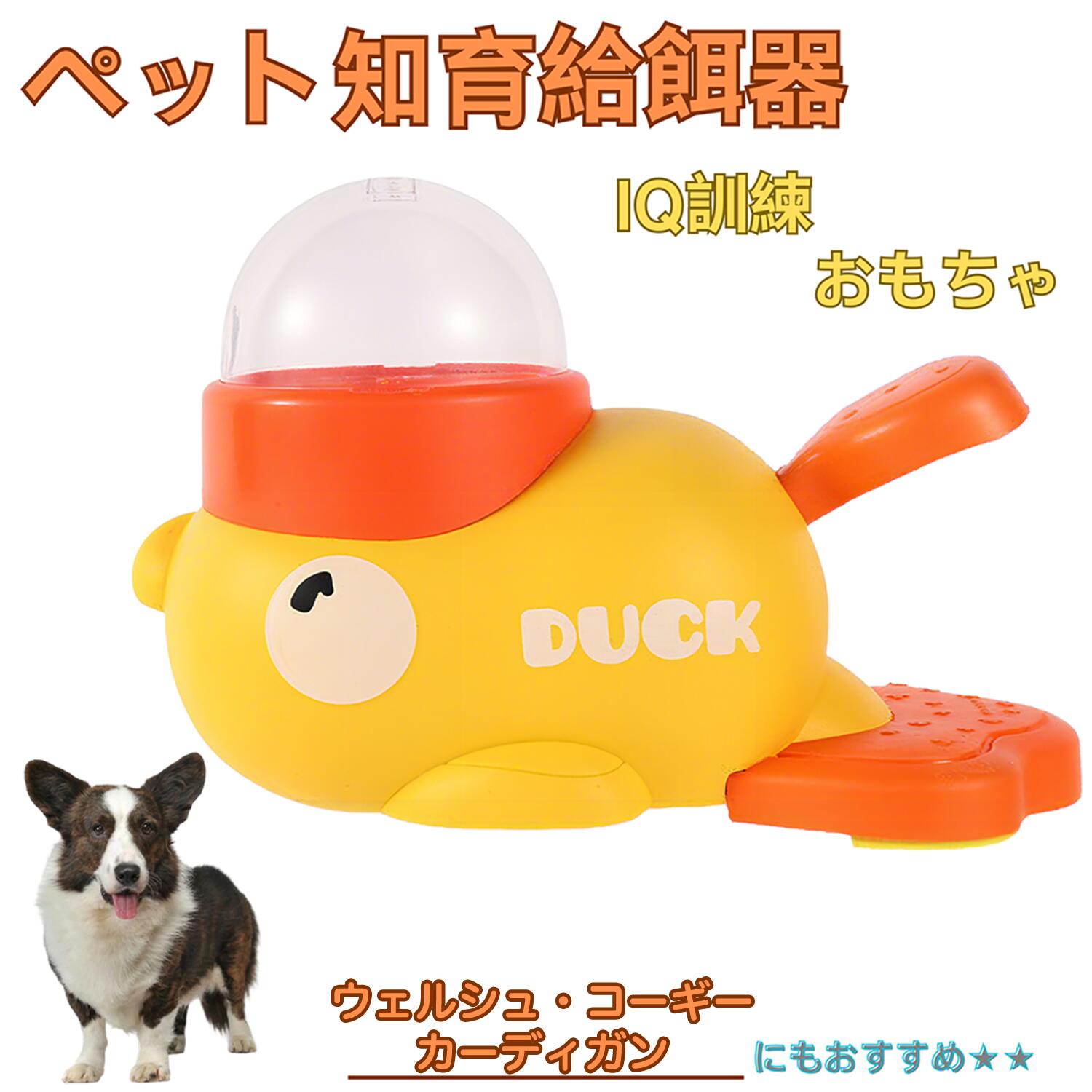 楽天市場】【5倍ポイント】 シベリアンハスキー犬 ハスキー アヒル