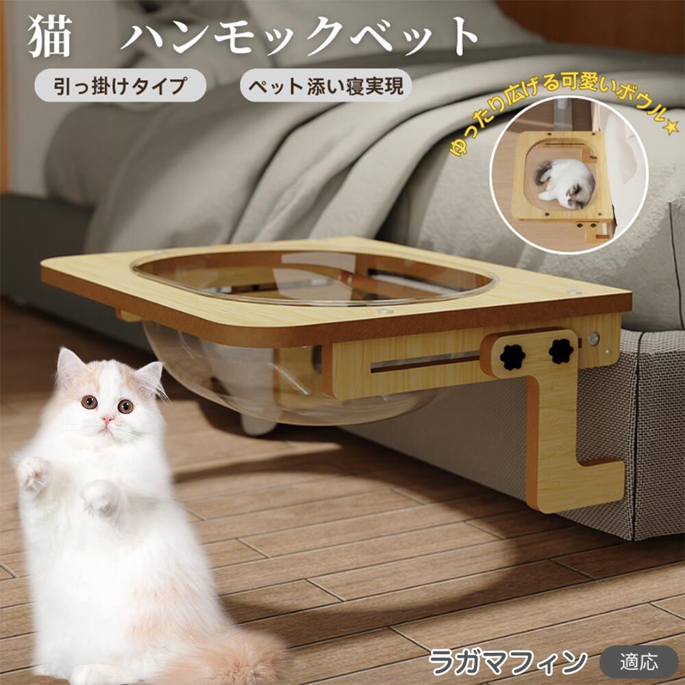 楽天市場】【5倍ポイント】 ノルウェージャンフォレストキャット 猫