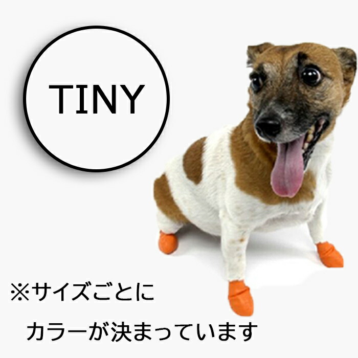 disposable dog booties