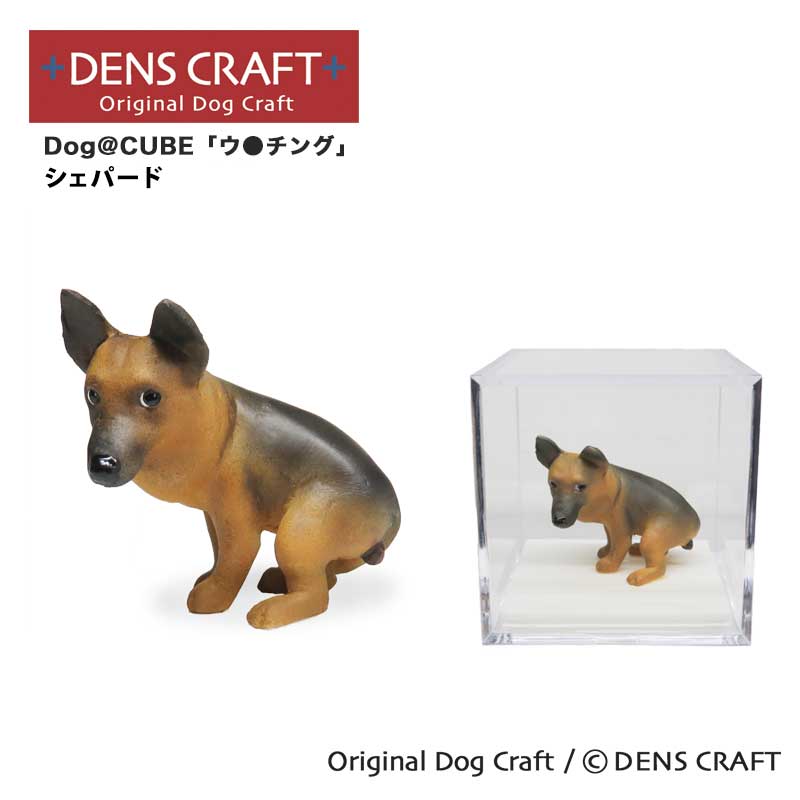 楽天市場】【DENSCRAFT】 Dog@CUBE 「WAIT!」 アメリカンコッカー