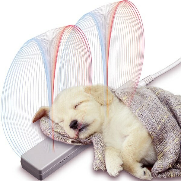 お気にいる 楽天市場 磁気ユニット スマイヌ 犬用グッズ Sumainu 安いそれに目立つ Lexusoman Com