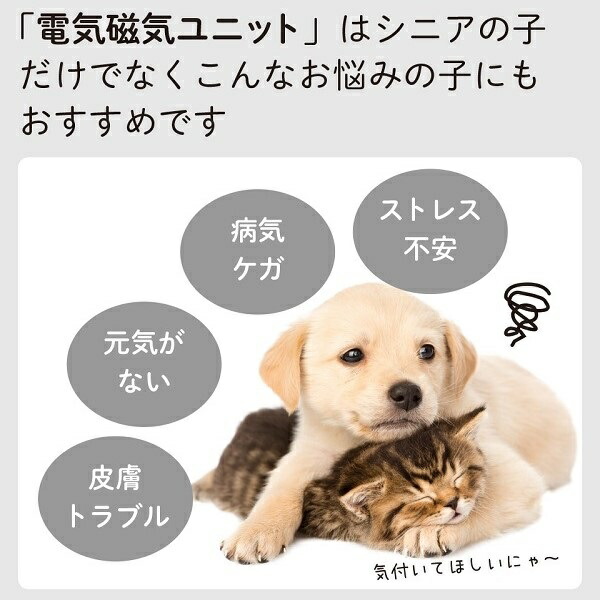 お気にいる 楽天市場 磁気ユニット スマイヌ 犬用グッズ Sumainu 安いそれに目立つ Lexusoman Com