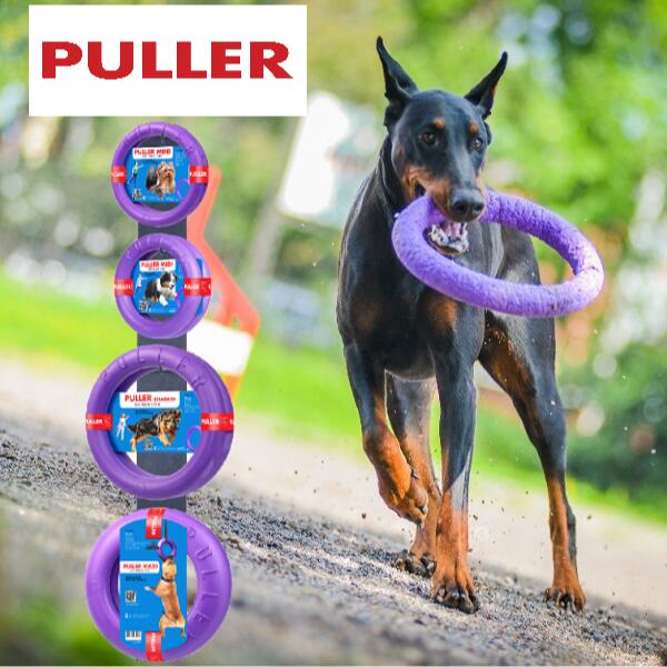 犬のキャラクター ストラップ 2色セット ぬいぐるみ付き キーホルダー コーデュロイ マスコット かわいい
